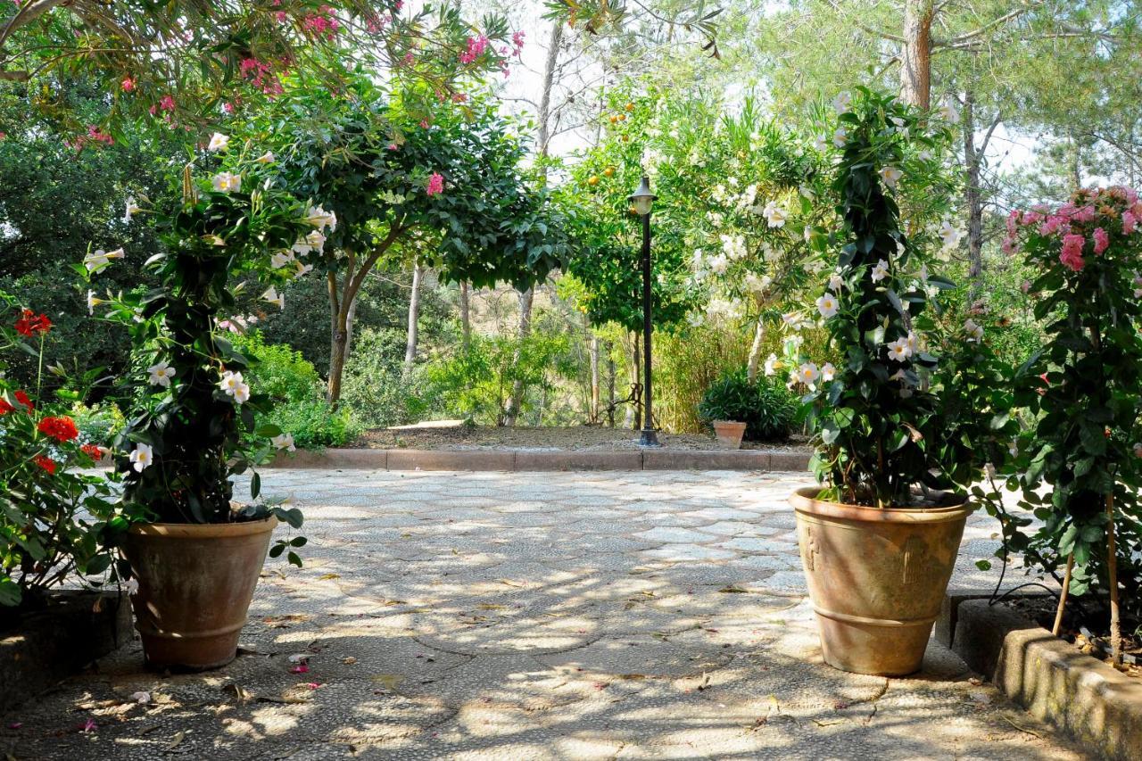 B&B Villa Bentivoglio 2