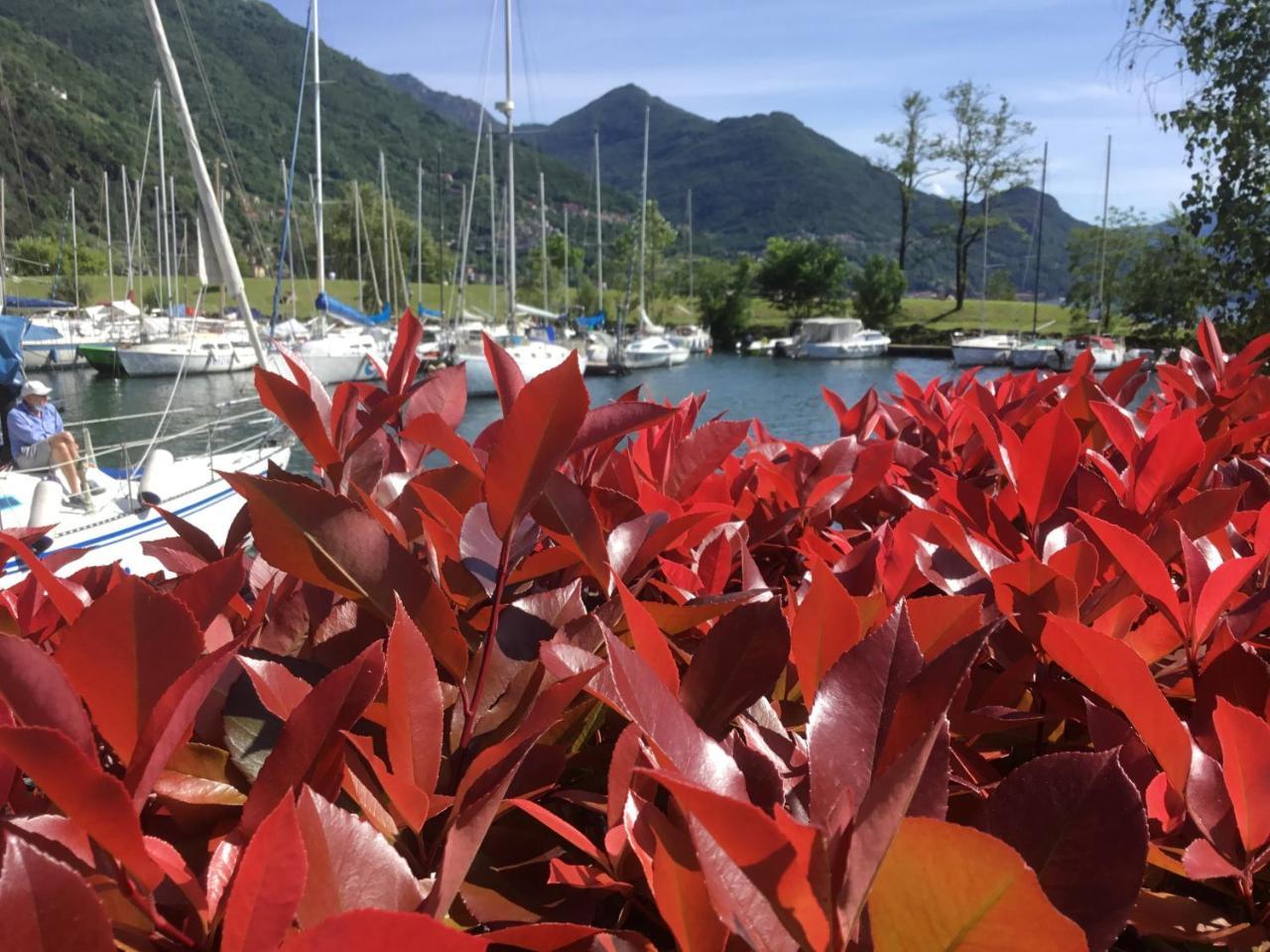 Comolakehome a Due Passi Dal Lago 1