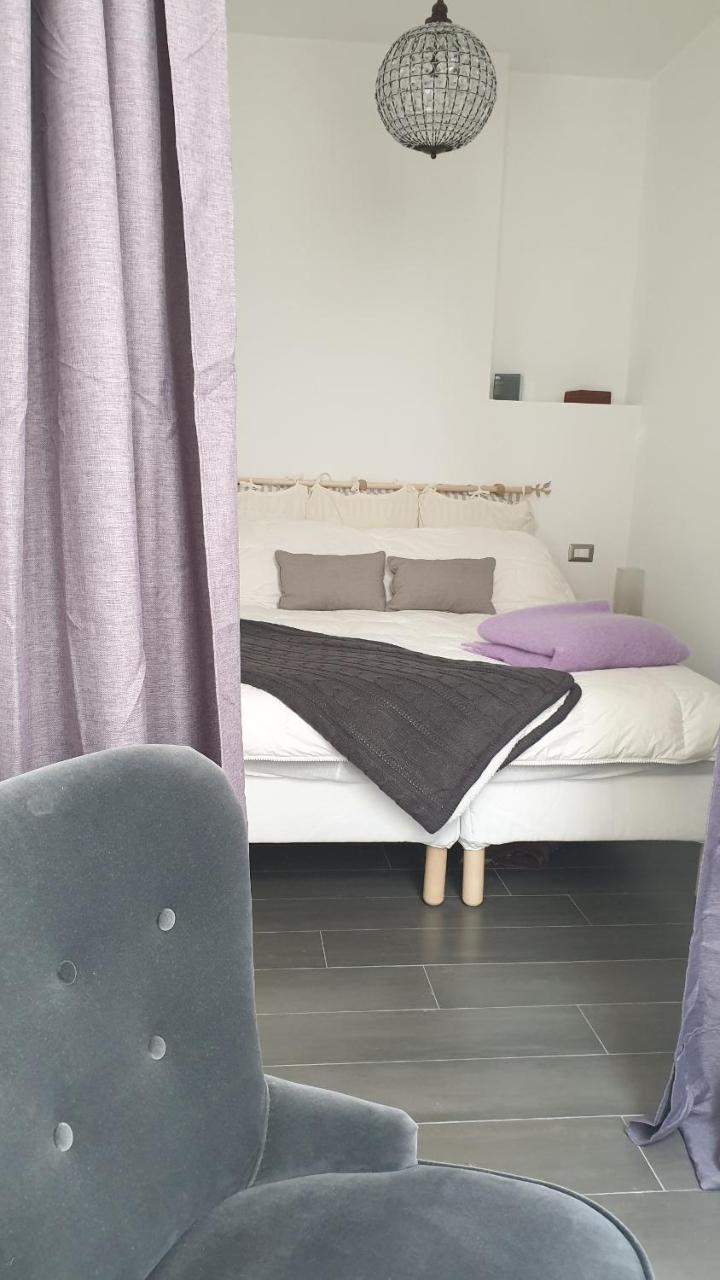 Geko Suite Toledo