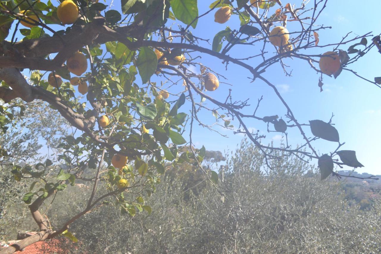 Appartamento Isola D'oro 1