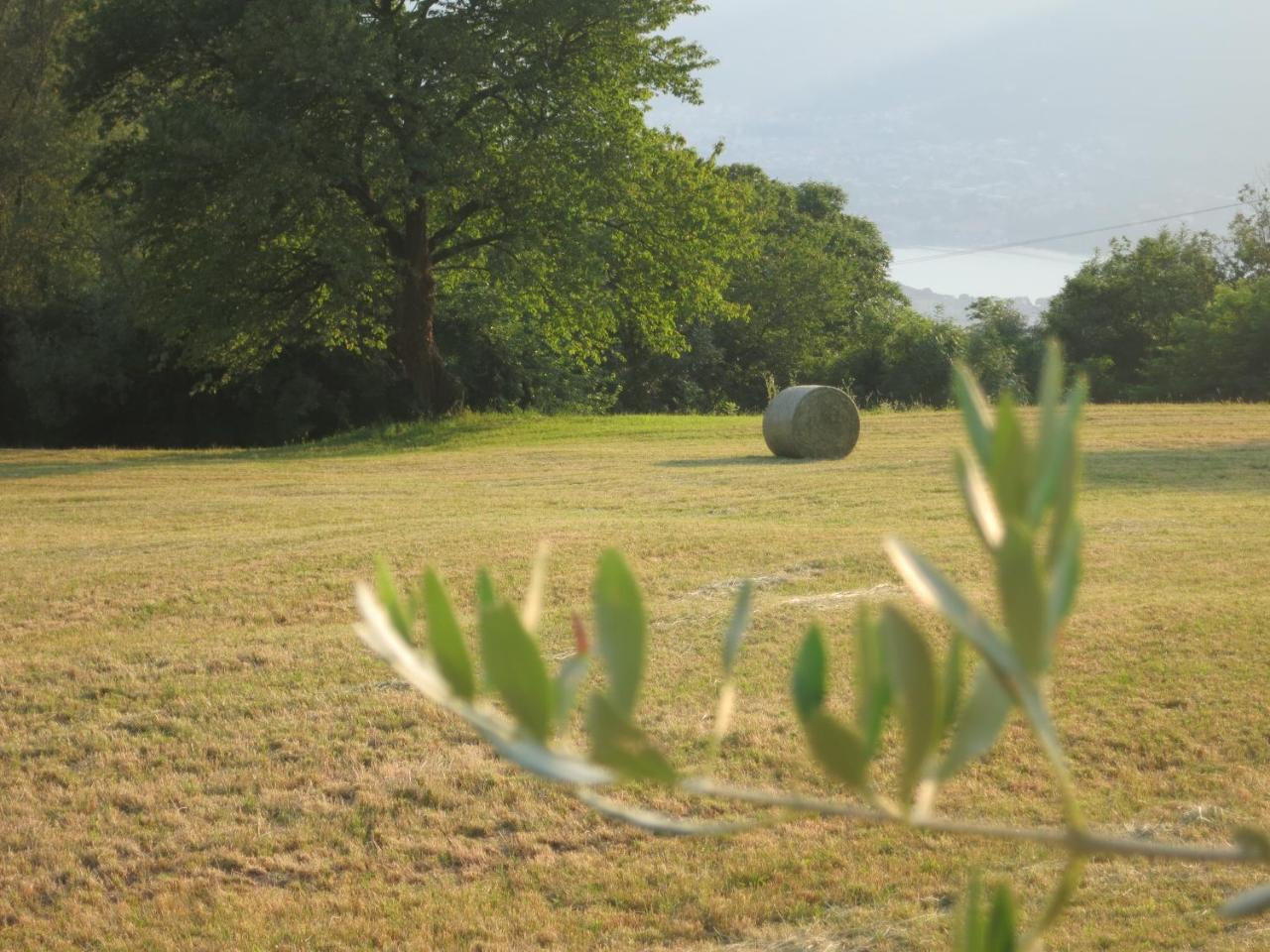 Agriturismo Deviscio 2
