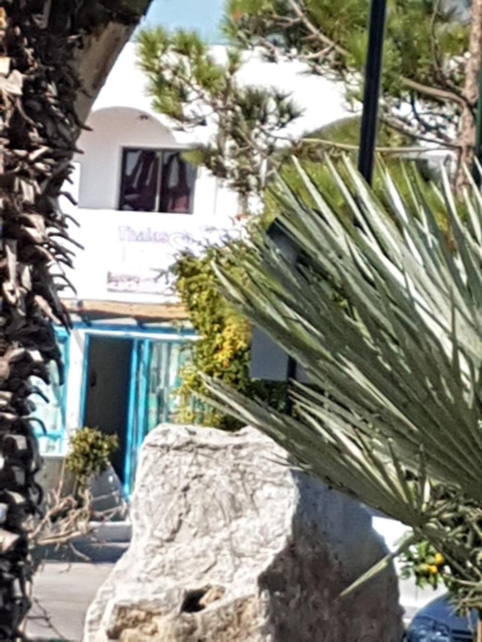 Thalassa Studios 1