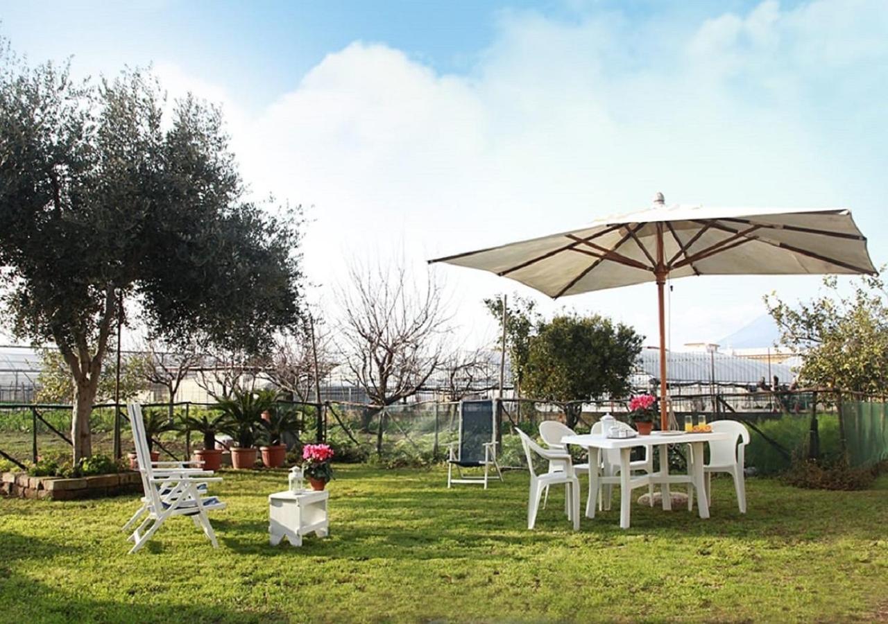 Dream House de Iulio