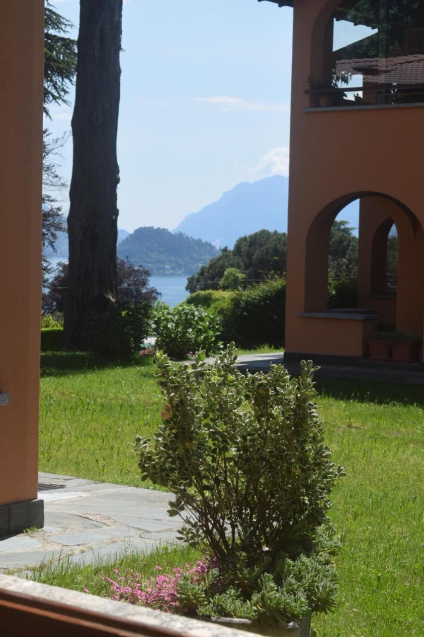 Landscapesilvia Pt Terra