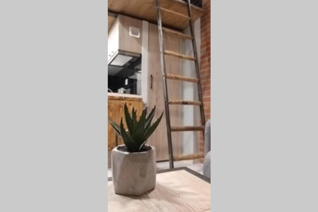 Cosy Industrial Style Little Home Just 5minutes From Waterfront 1