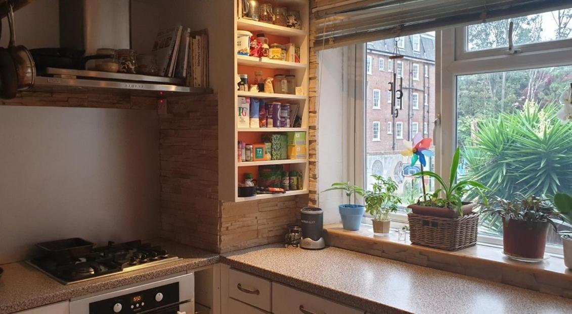 Room in London Fields, Hackney 1