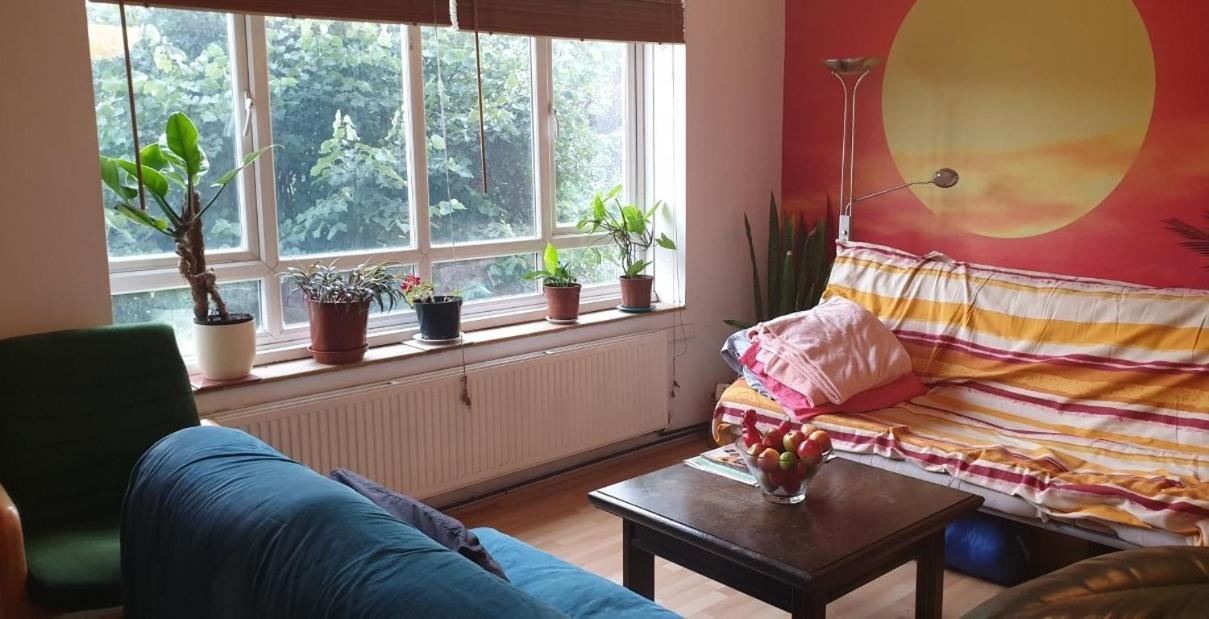 Room in London Fields, Hackney 2