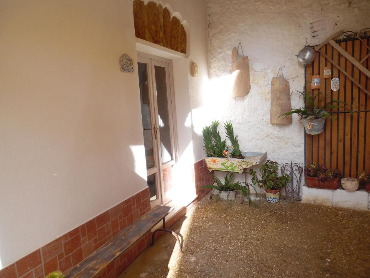Antico Catoio
