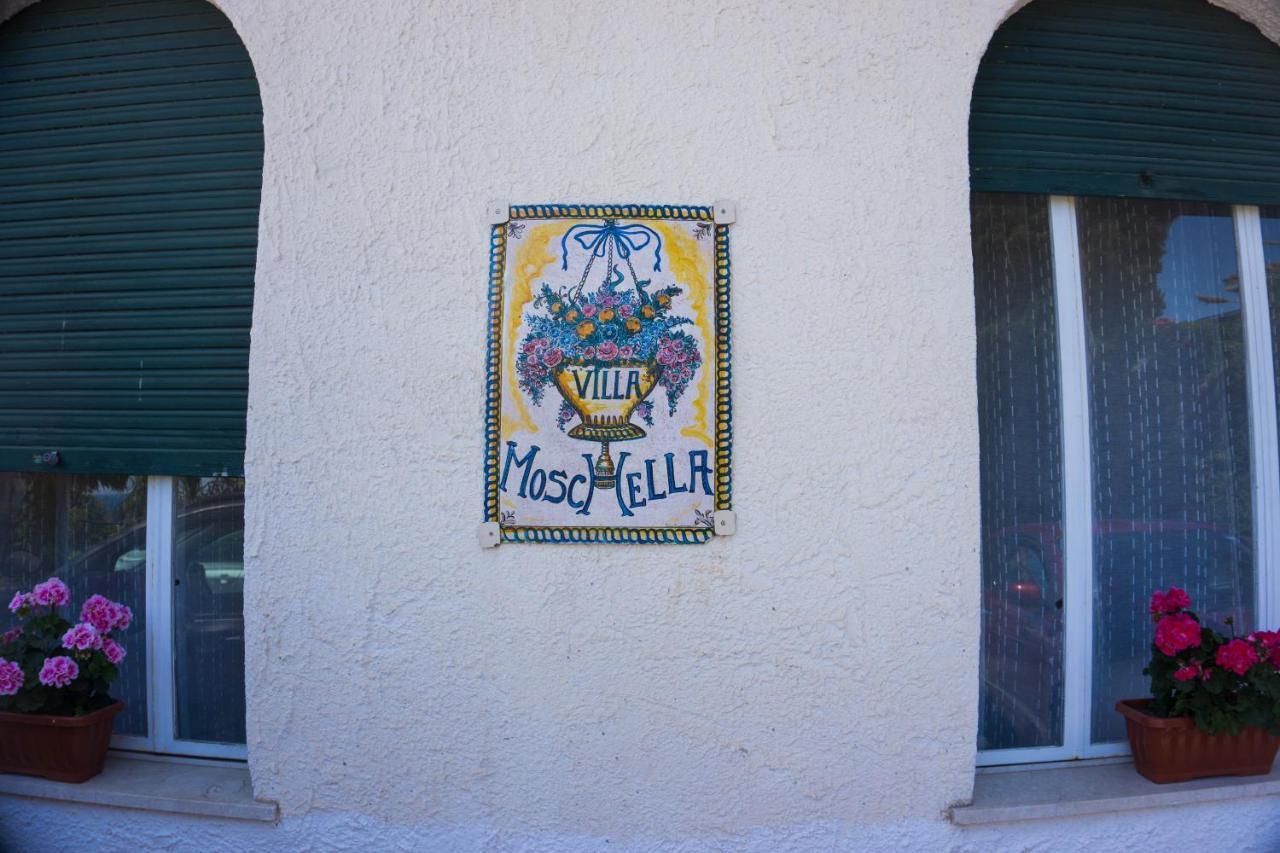 Villa Moschella 1