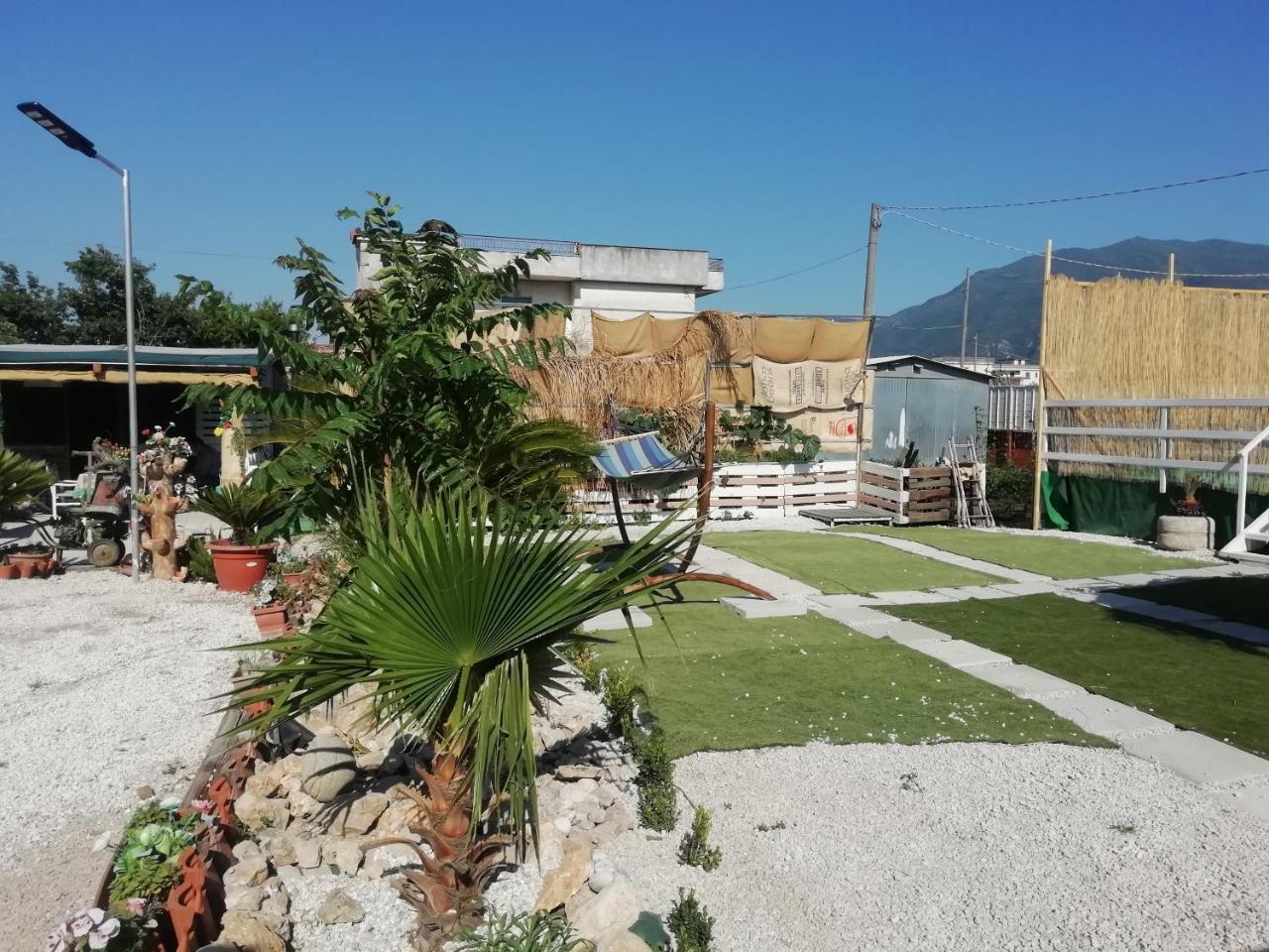B&B Ciro