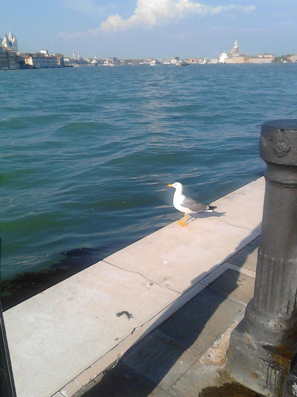 B&B Giudecca Bella 2