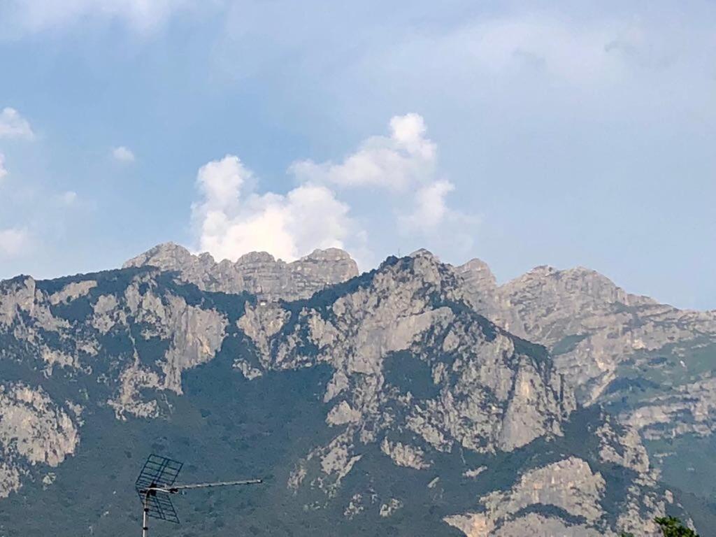Il Gerenzone T00841 1
