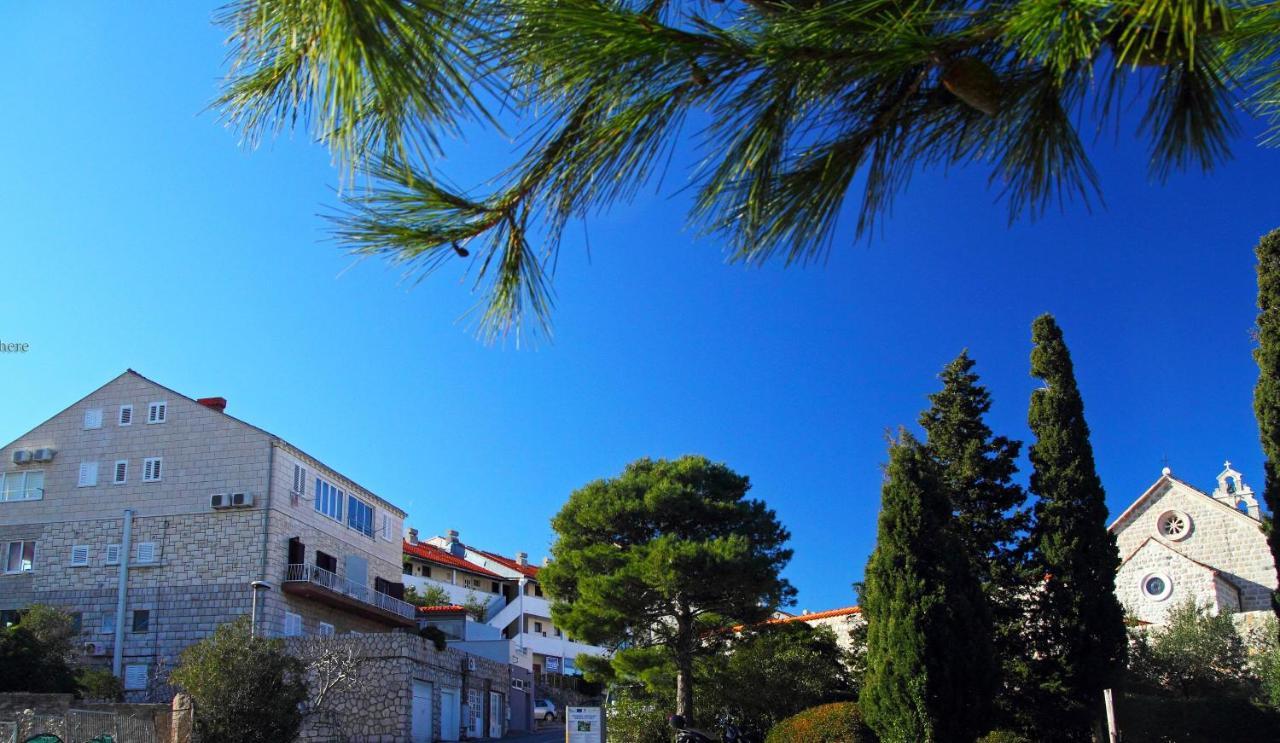 Apartment Nikatoni 1