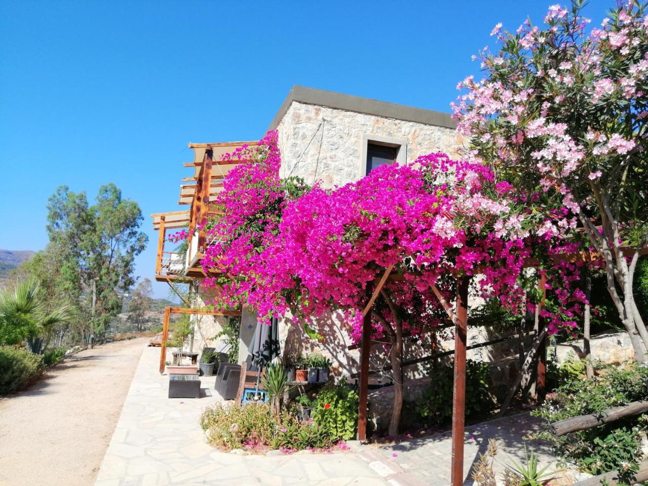 Eco Farm Hotel