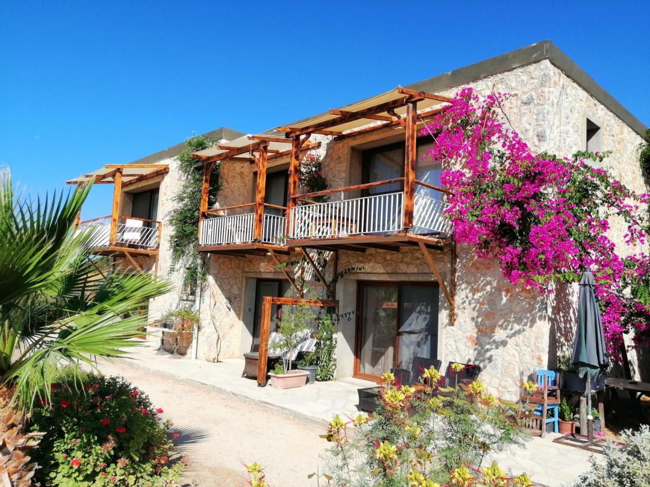 Eco Farm Hotel 1
