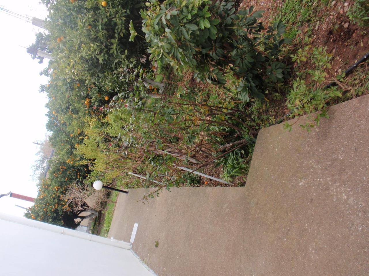 Antouan Matina 2
