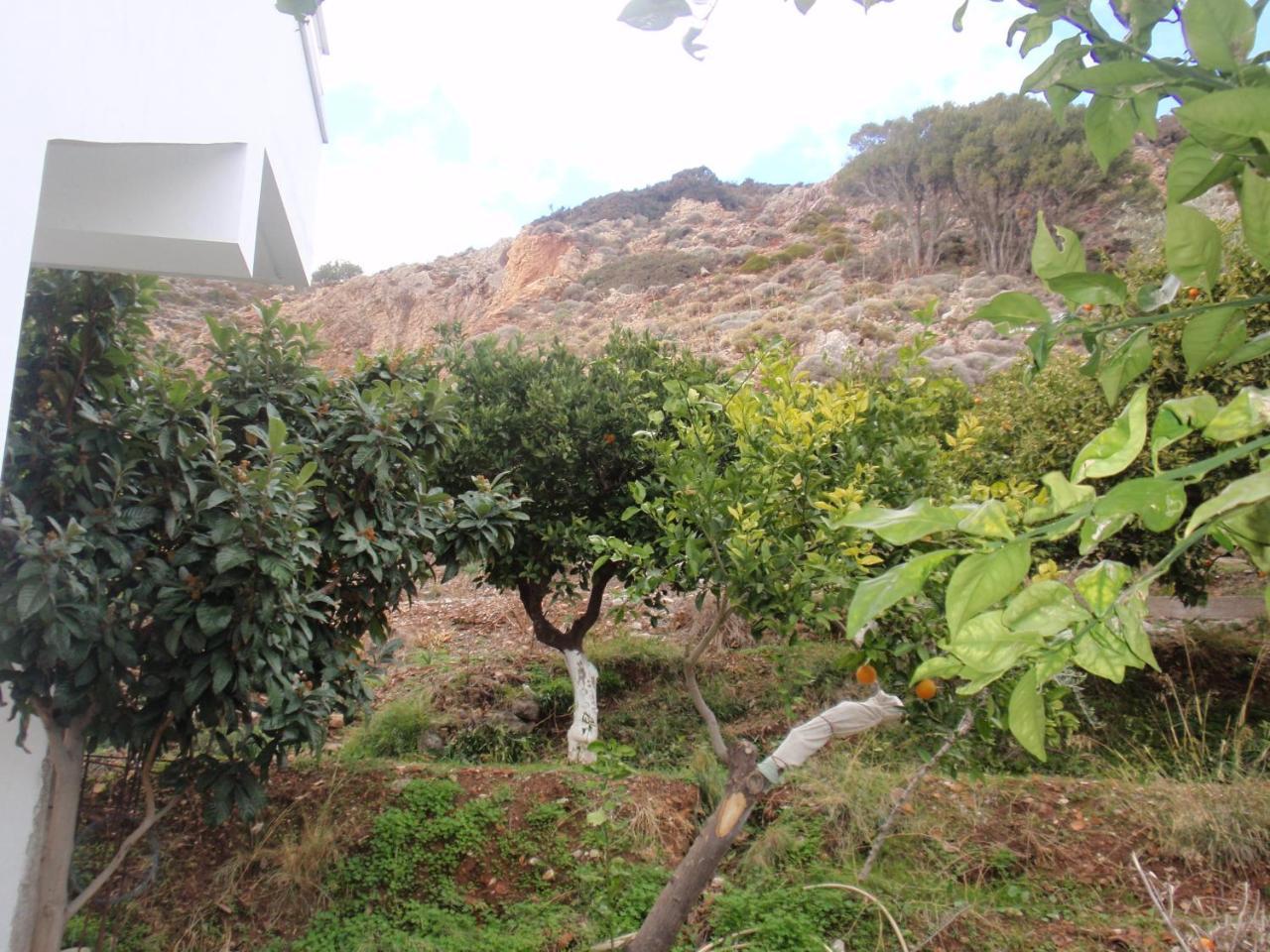 Antouan Matina 1