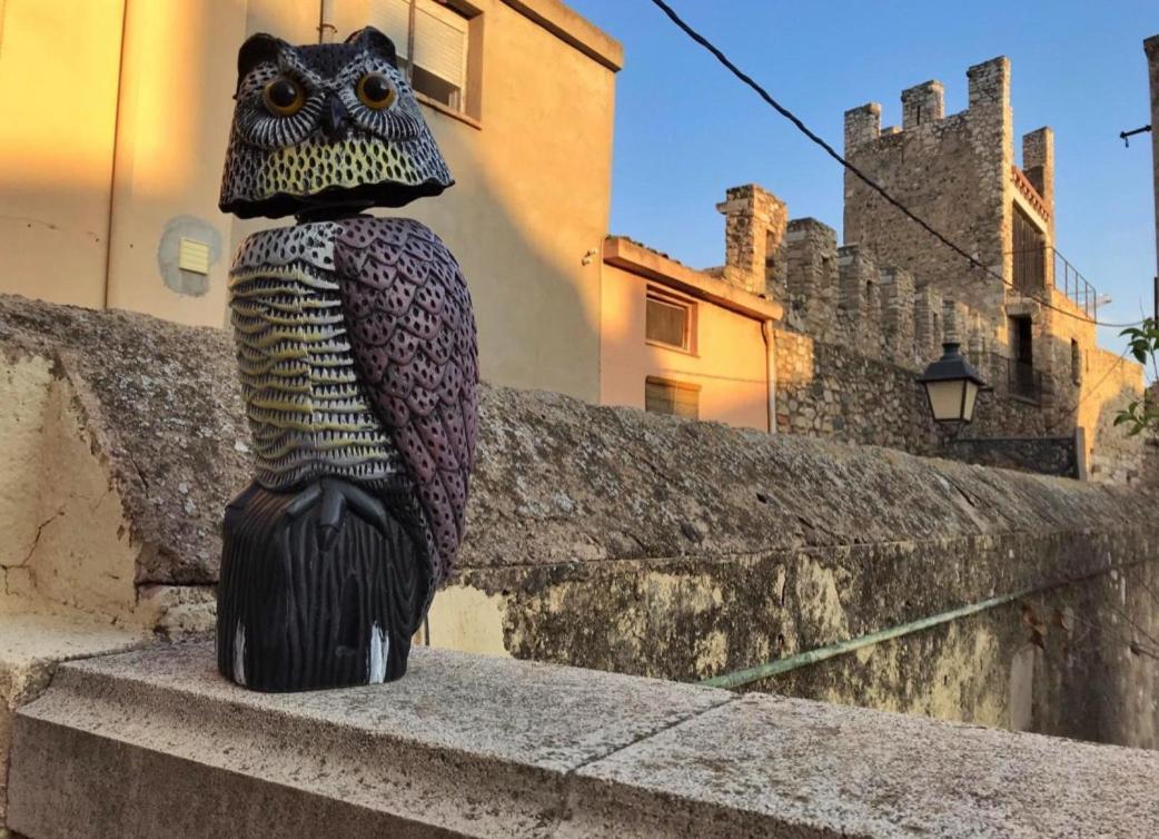 Cal Pere de L'onclet