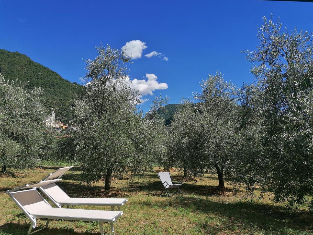 Agriturismo Conca Sandra - Farm Stay on Lake Como 1