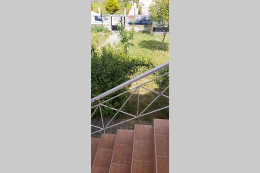 Dimitris House