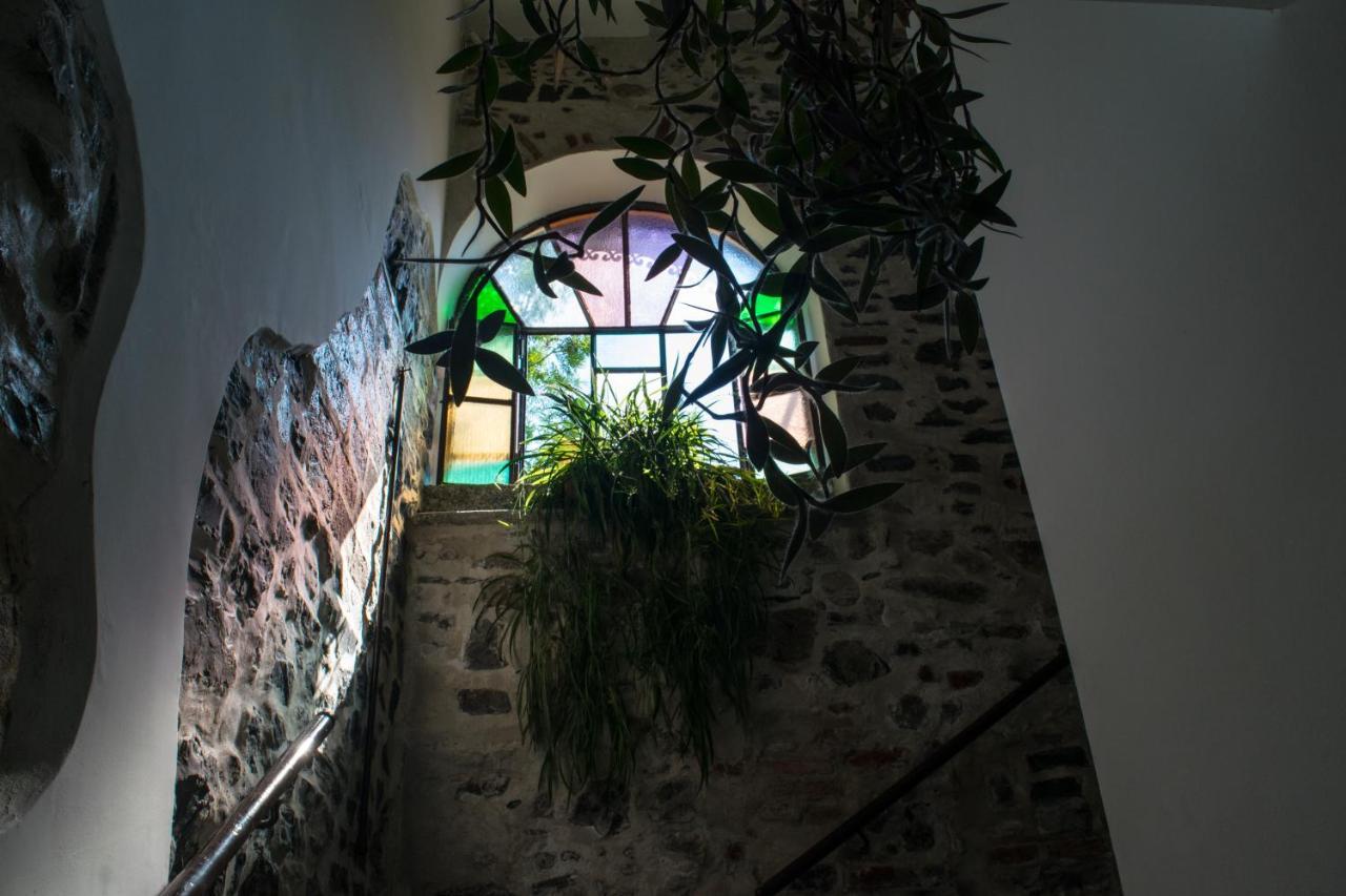 Casa Amata 1