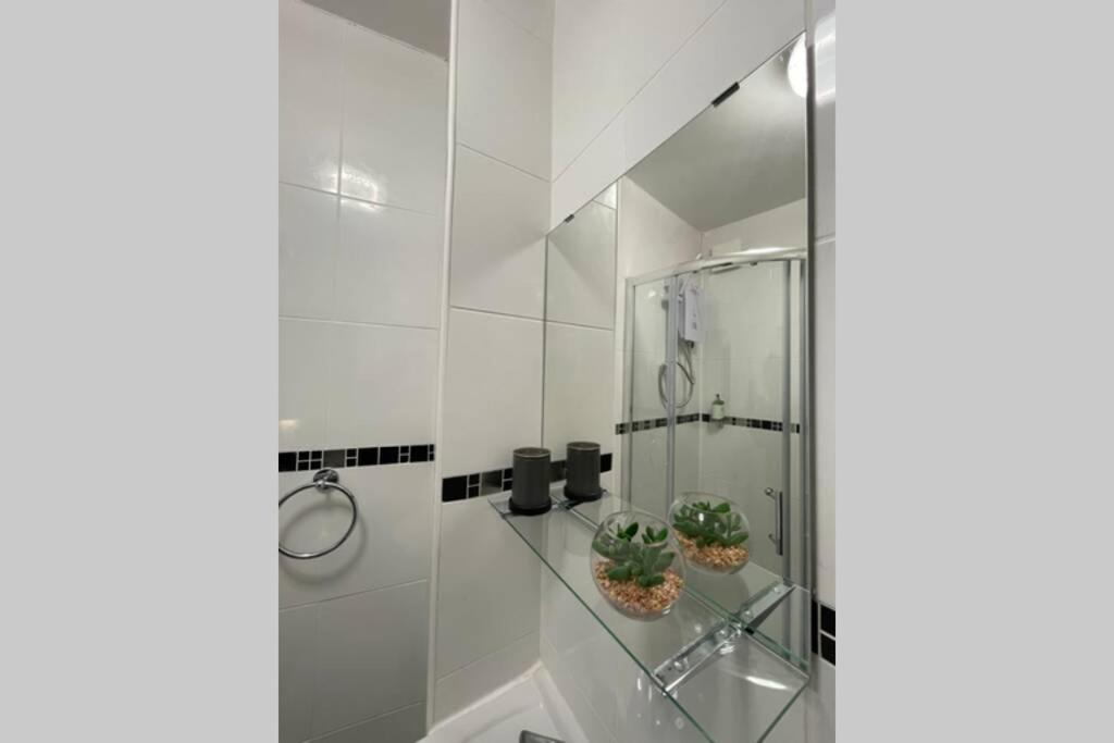 Spacious, Bright Twin Studio Apartment (Can Sleep Up To 4) 2