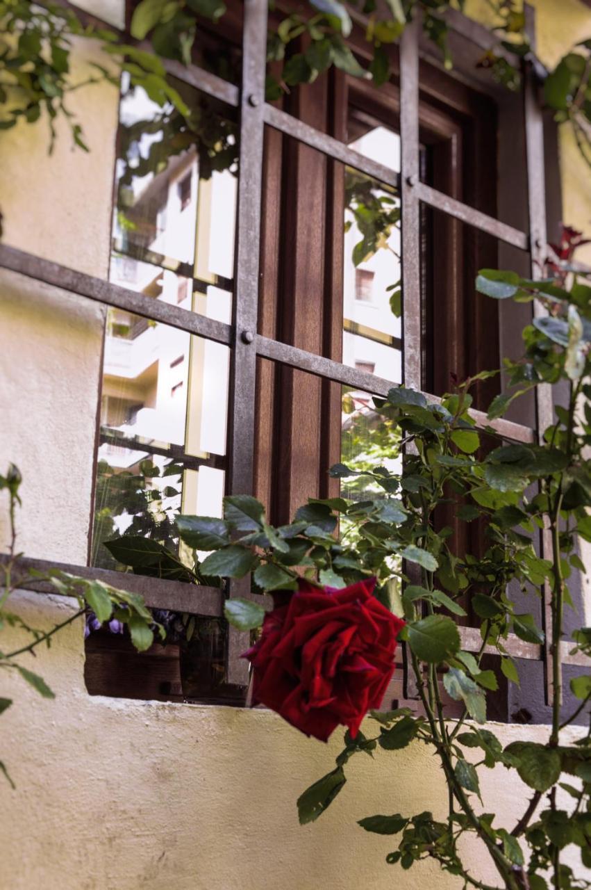 Lovely Nest Near Florence City Center 1