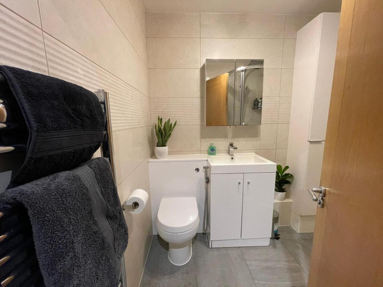 2 Bedroom Ensuite Apartment on River Thames 2