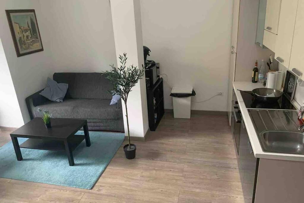 Belfiore Apartment - Florence City Center 1