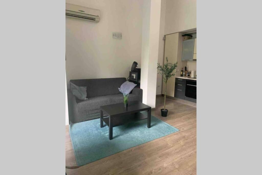 Belfiore Apartment - Florence City Center