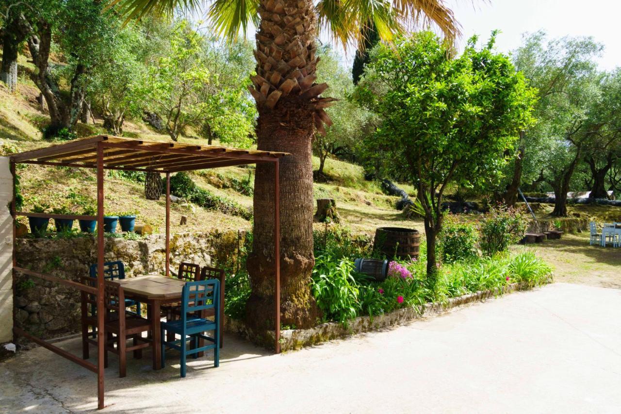 Olive Grove - Eleonas