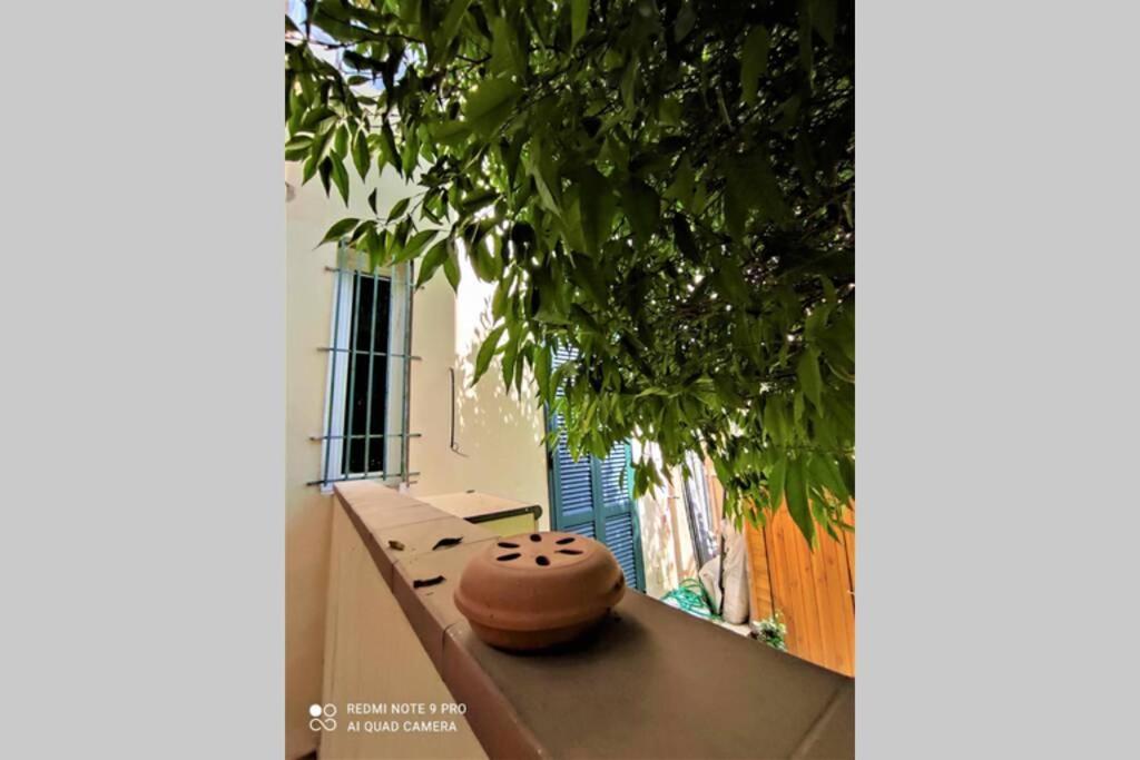 Home Careggi Florence 2