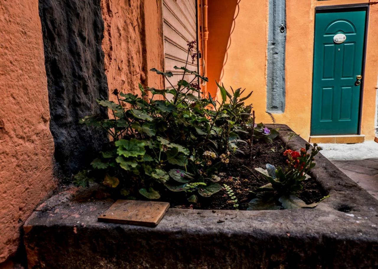 Little House Napoli 2