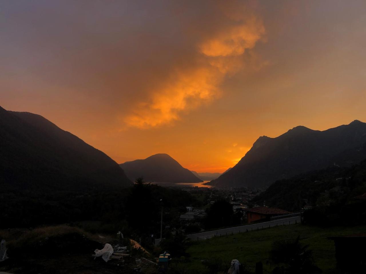 B&B Gli Ulivi 1
