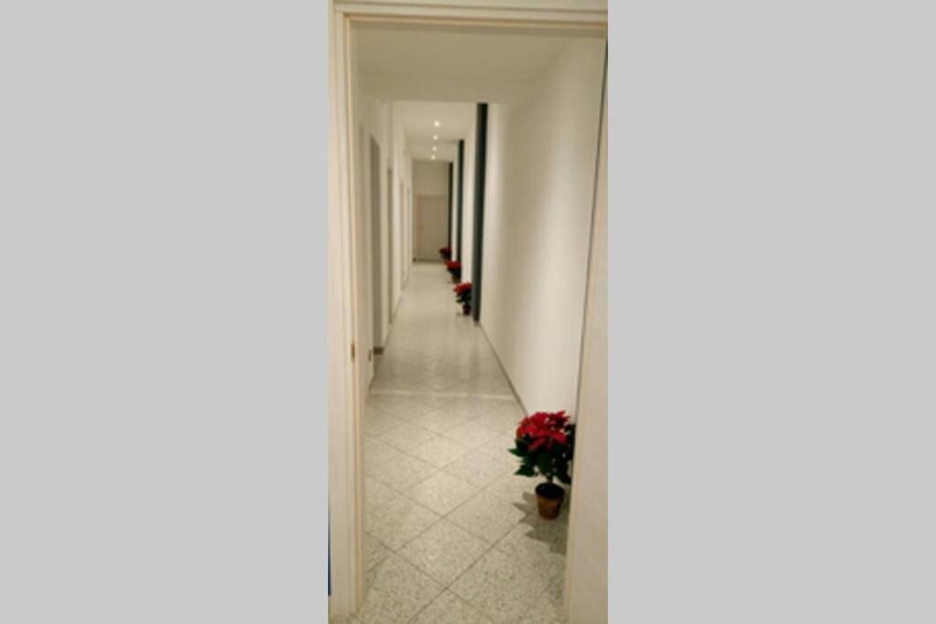 Freedom Apartment 2