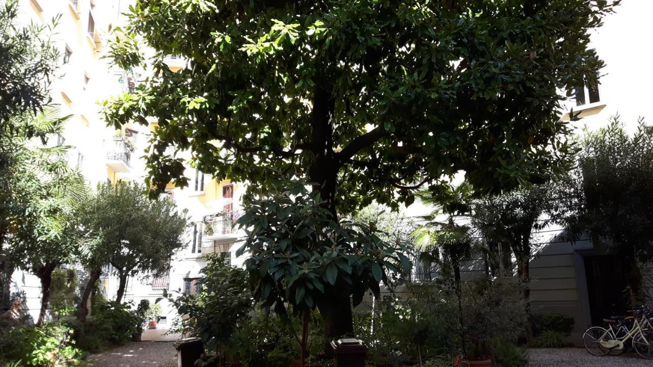 Bronzino House