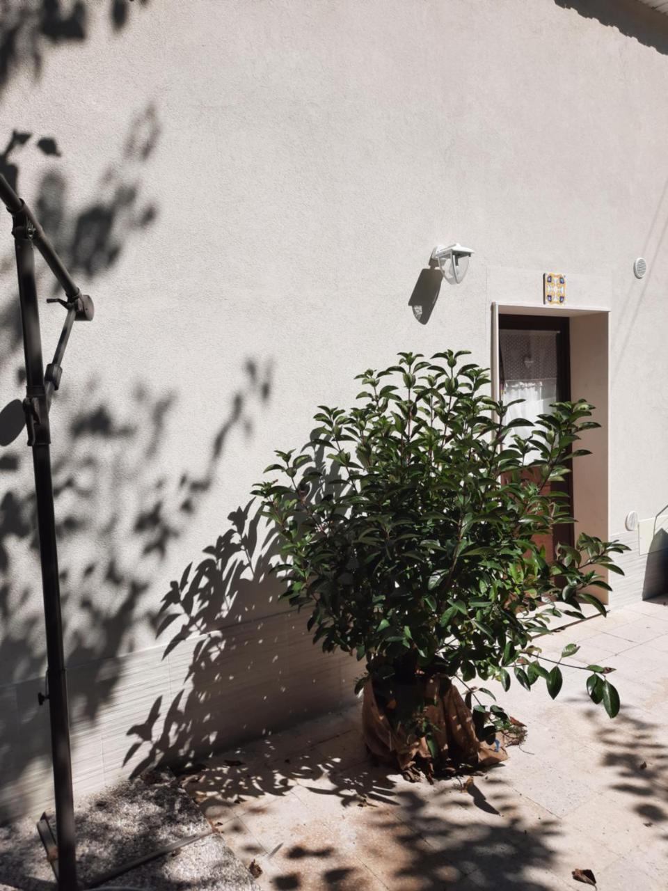 Casacecilia Holiday House 2