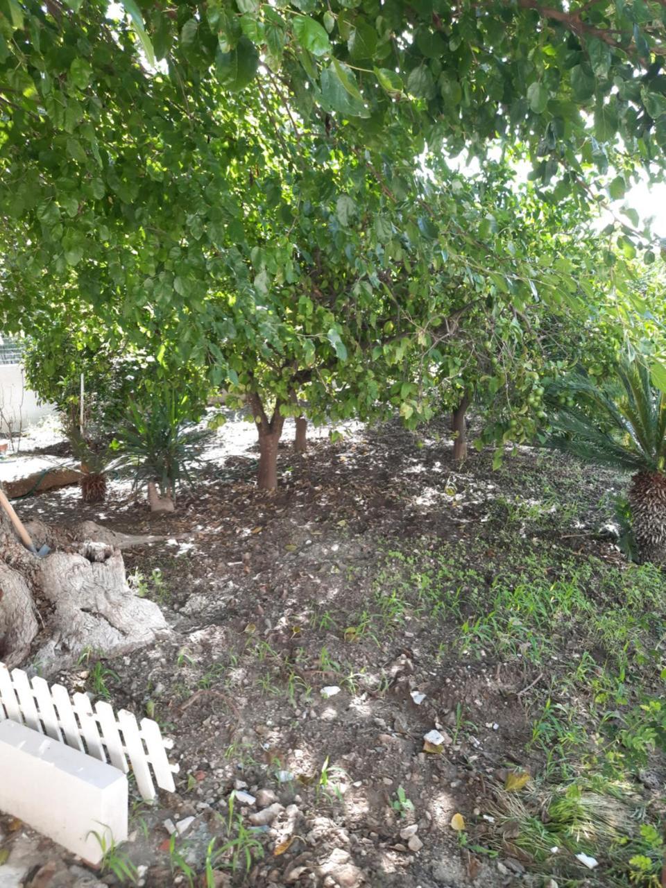 Casacecilia Holiday House 1
