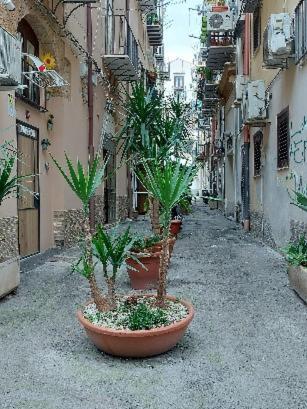 La Rosa Dei Venti " Ponente" 1