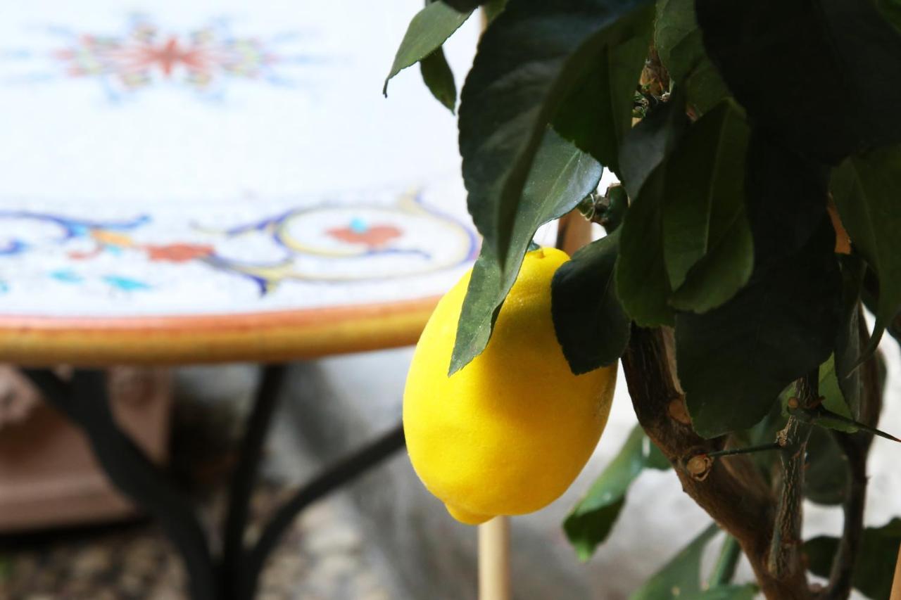 La Terrazza Dei Limoni
