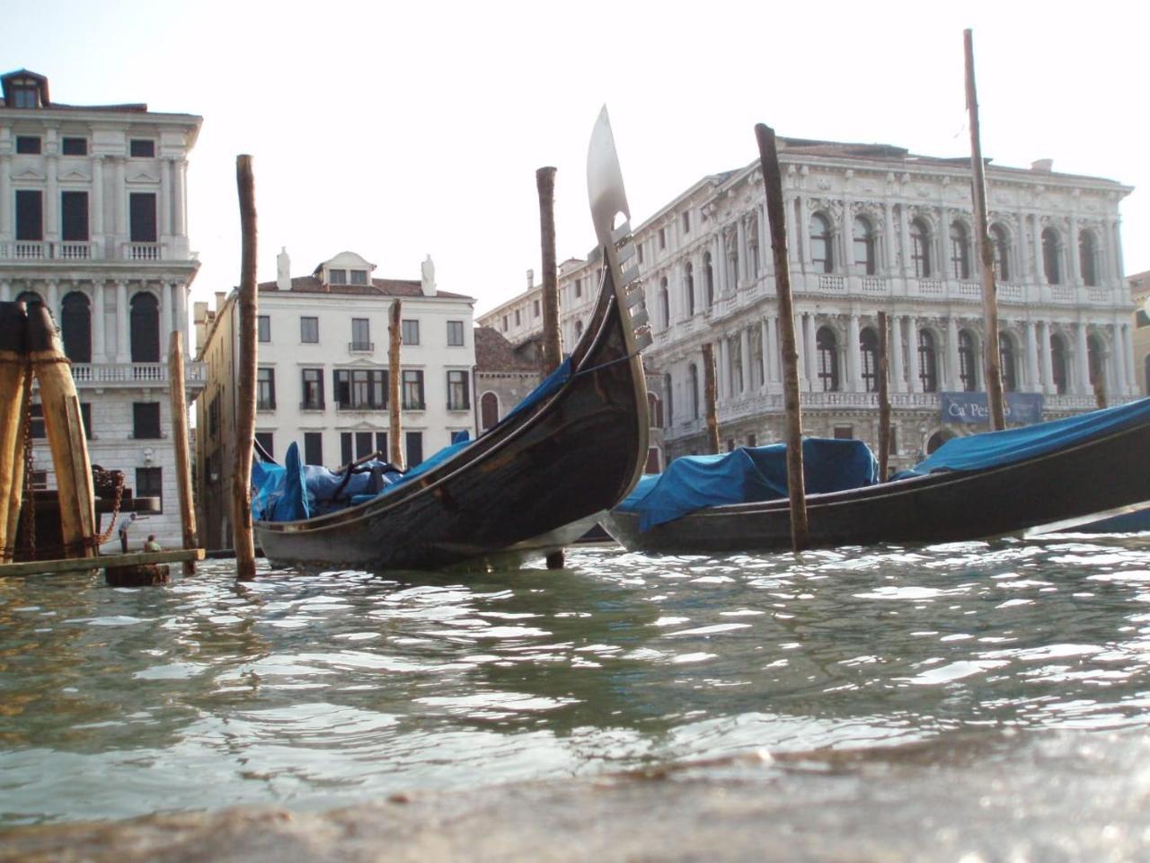 Apartment Essence of Venice 1