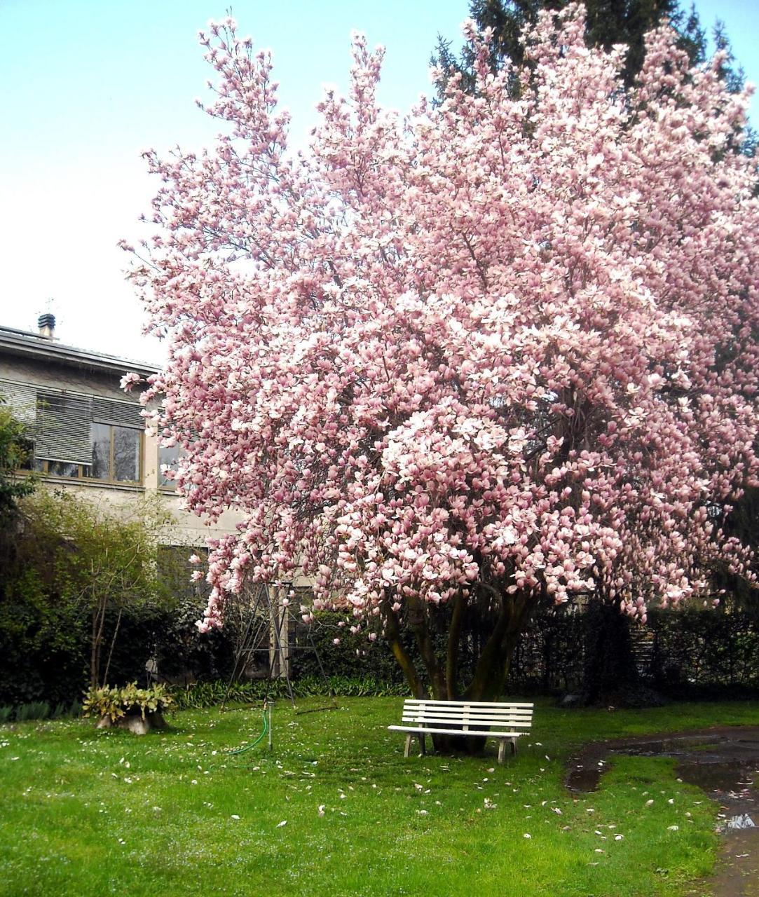 Sentirsi a Casa, Lontano Da Casa-Feel at Home Away From Home