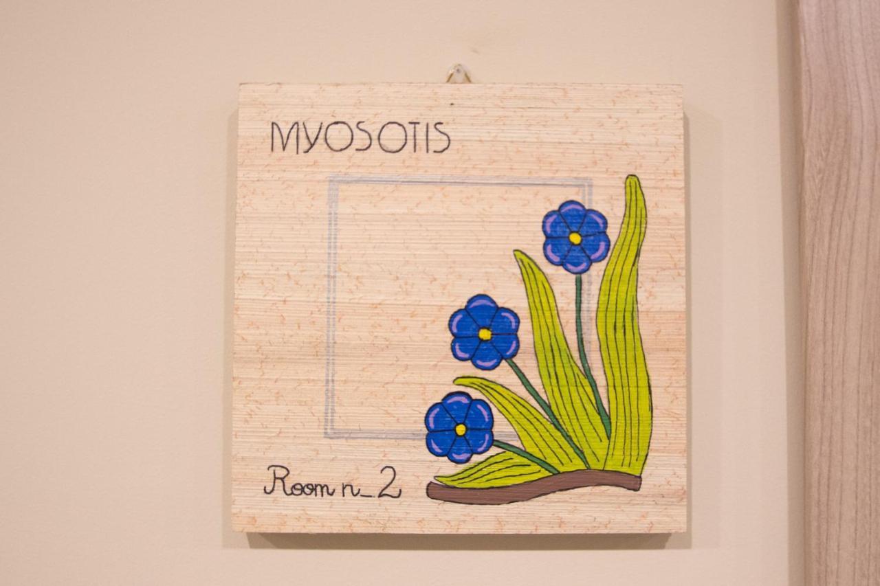 Papiroom's 1