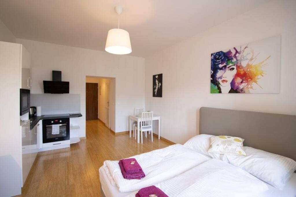 Studio-Apartment Between Schoenbrunn & the City Center (30)