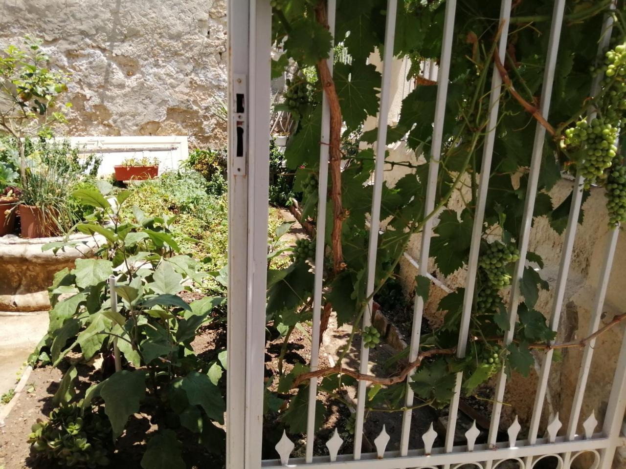 Graziella E Lucia 1