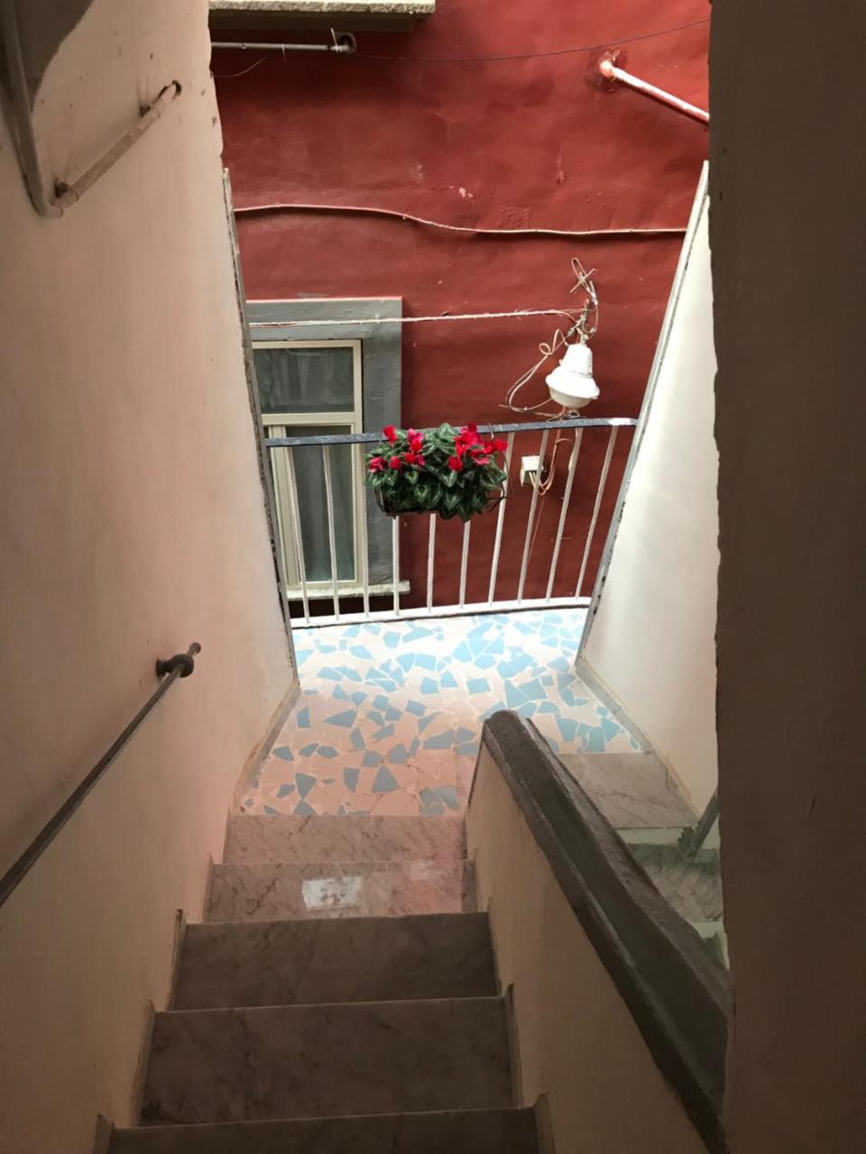Cisterna’S House 2