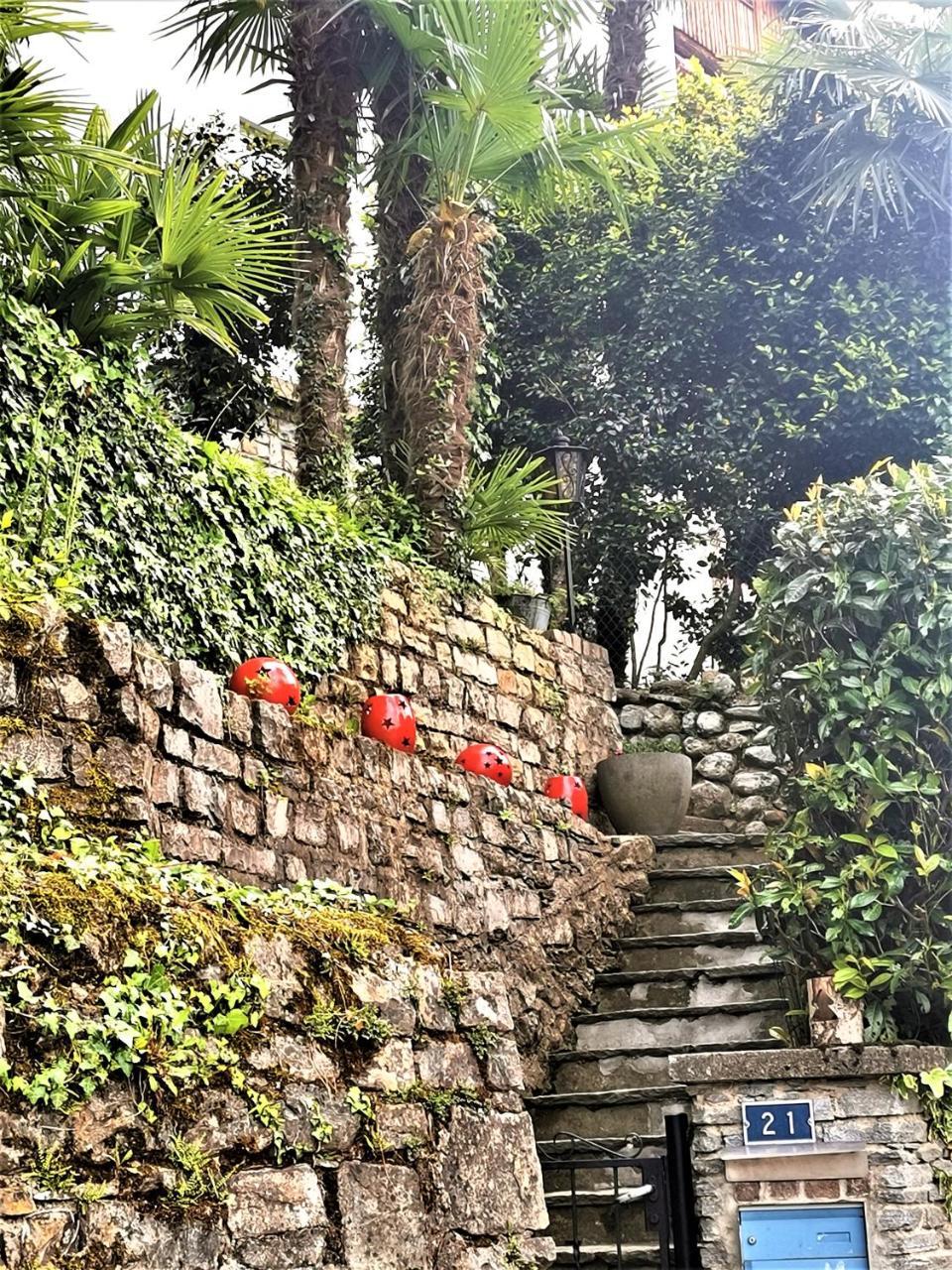 Casa Le Palme -Montagnola 1