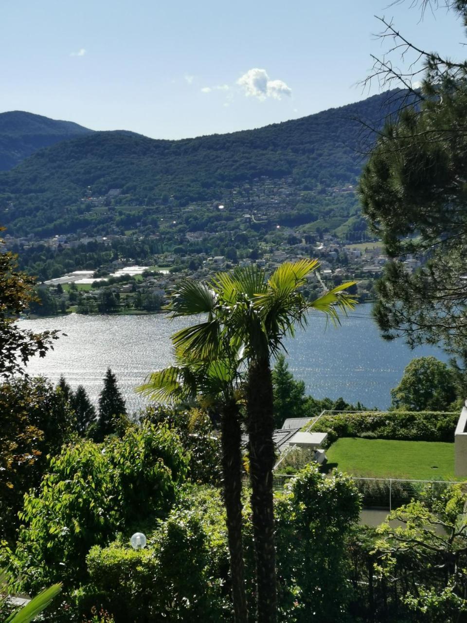 Casa Le Palme -Montagnola