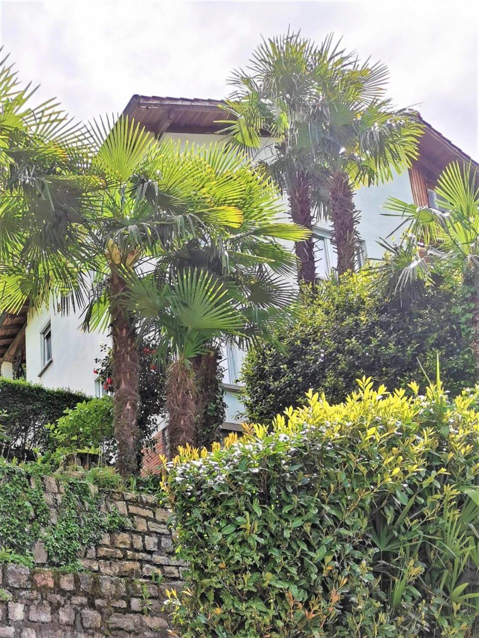 Casa Le Palme -Montagnola 2