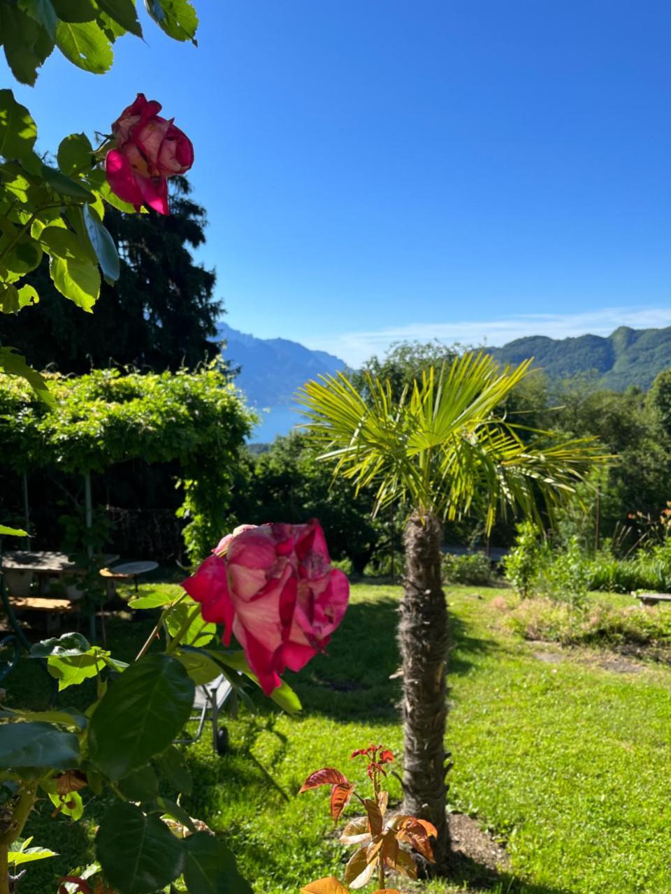 Casa Lario 1